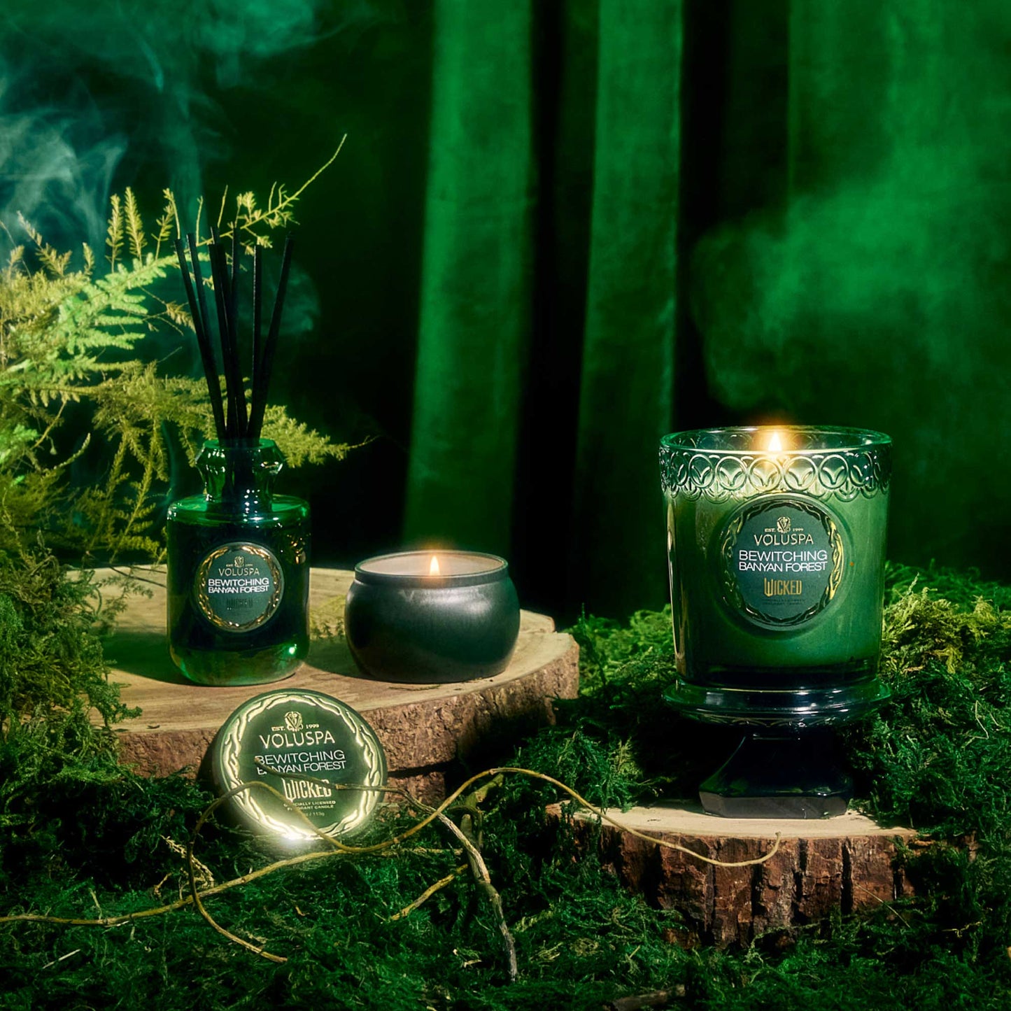 Bewitching Banyan Forest Boxed Candle