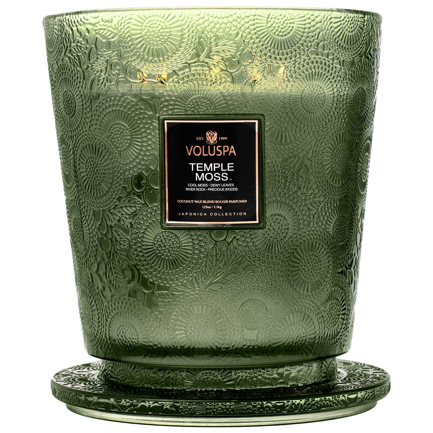 Temple Moss 5 Wick Hearth Candle