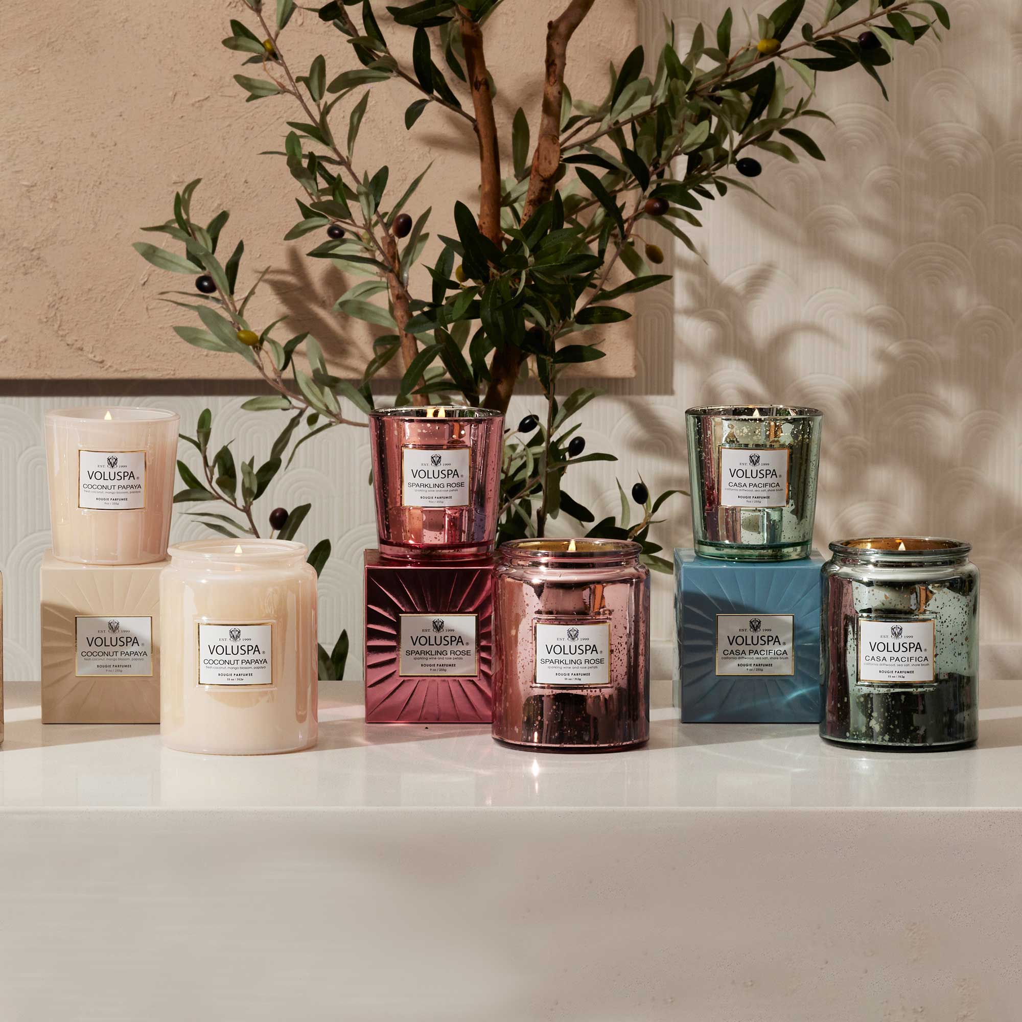 Coconut Papaya Classic Candle