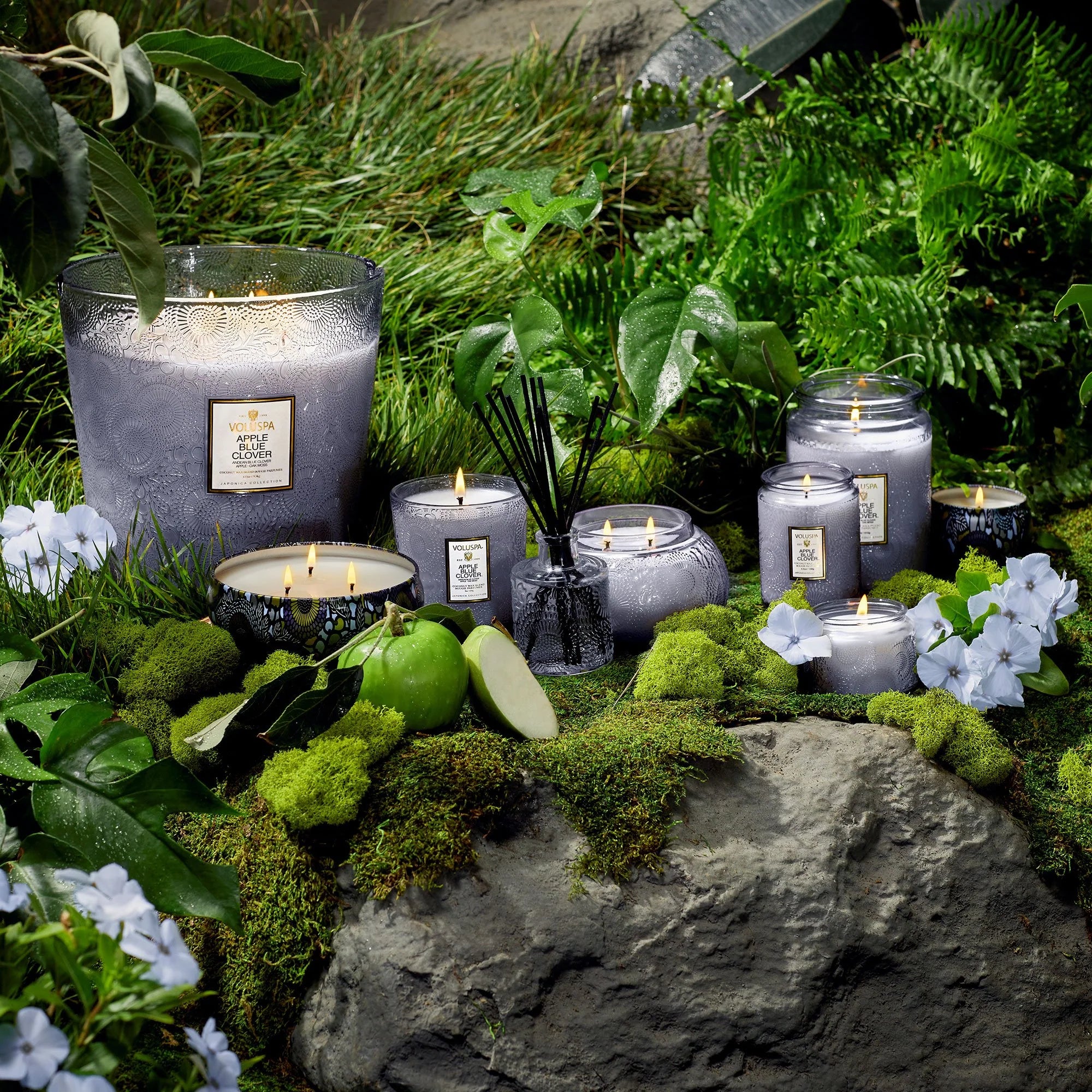 Apple Blue Clover Petite Jar