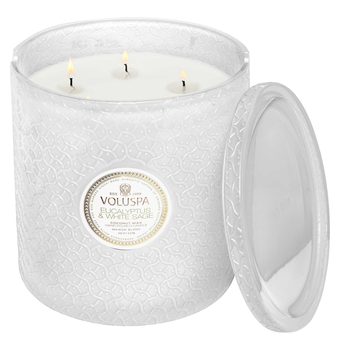 Eucalyptus & White Sage 5 Wick Hearth Candle