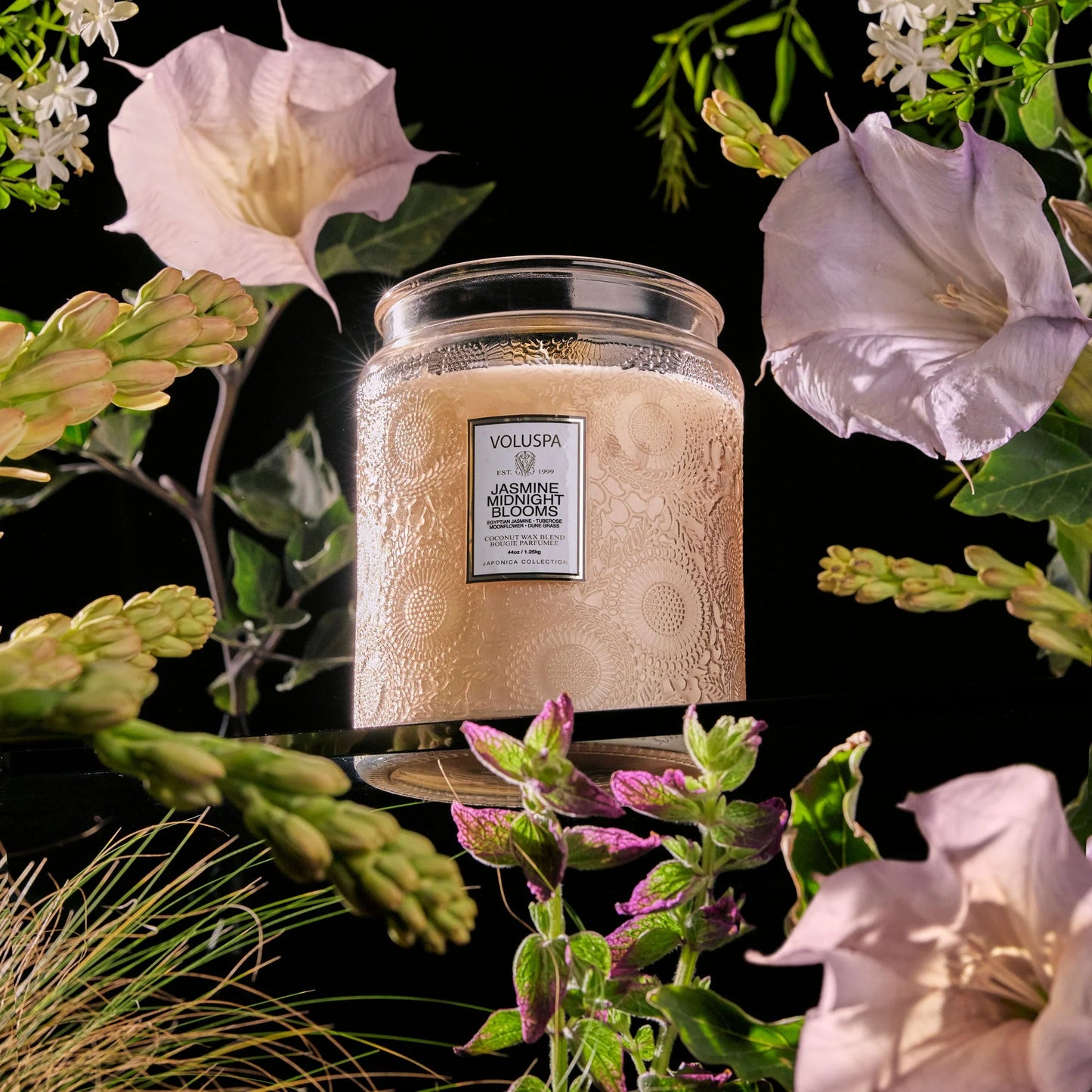 Jasmine Midnight Blooms Luxe Jar