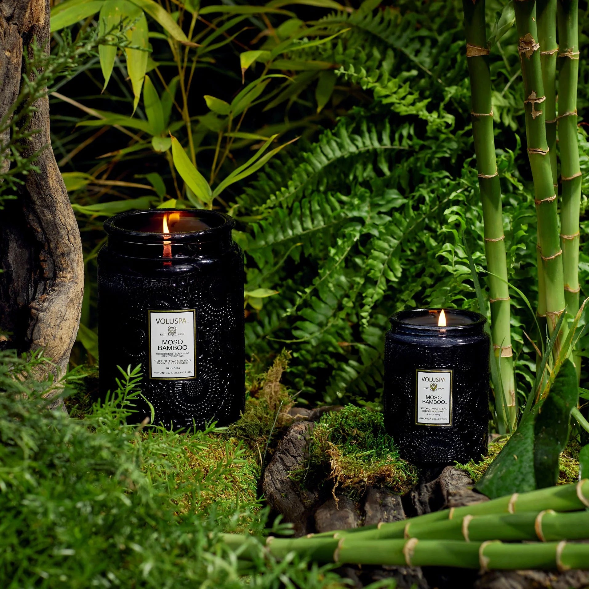 Moso Bamboo Small Jar