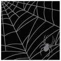 Spiderweb Cocktail Napkins
