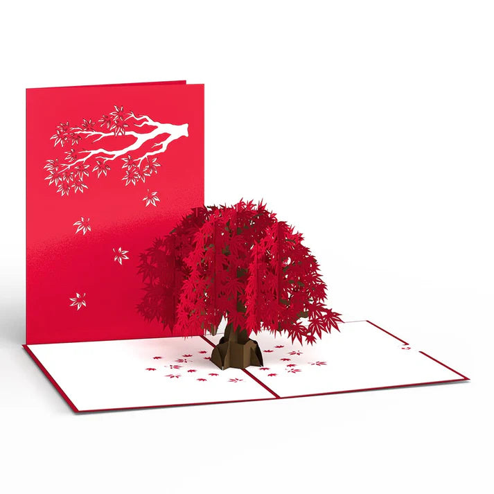 Japanese Maple Pop-Up Card