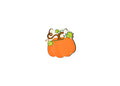 Harvest Pumpkin Mini Attachment