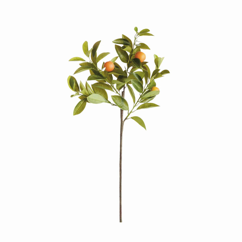 Faux Orange Stems 31"