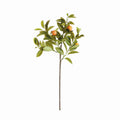 Faux Orange Stems 31"