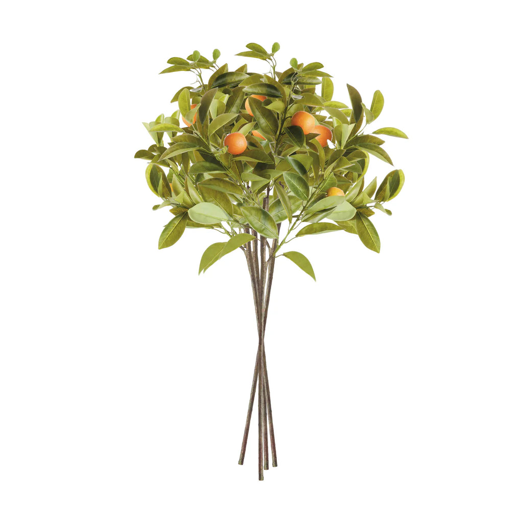 Faux Orange Stems 31"