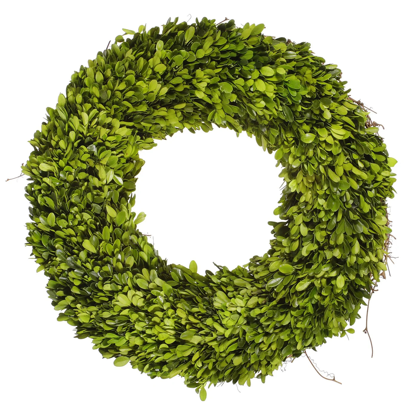 Green Boxwood Wreath 20"