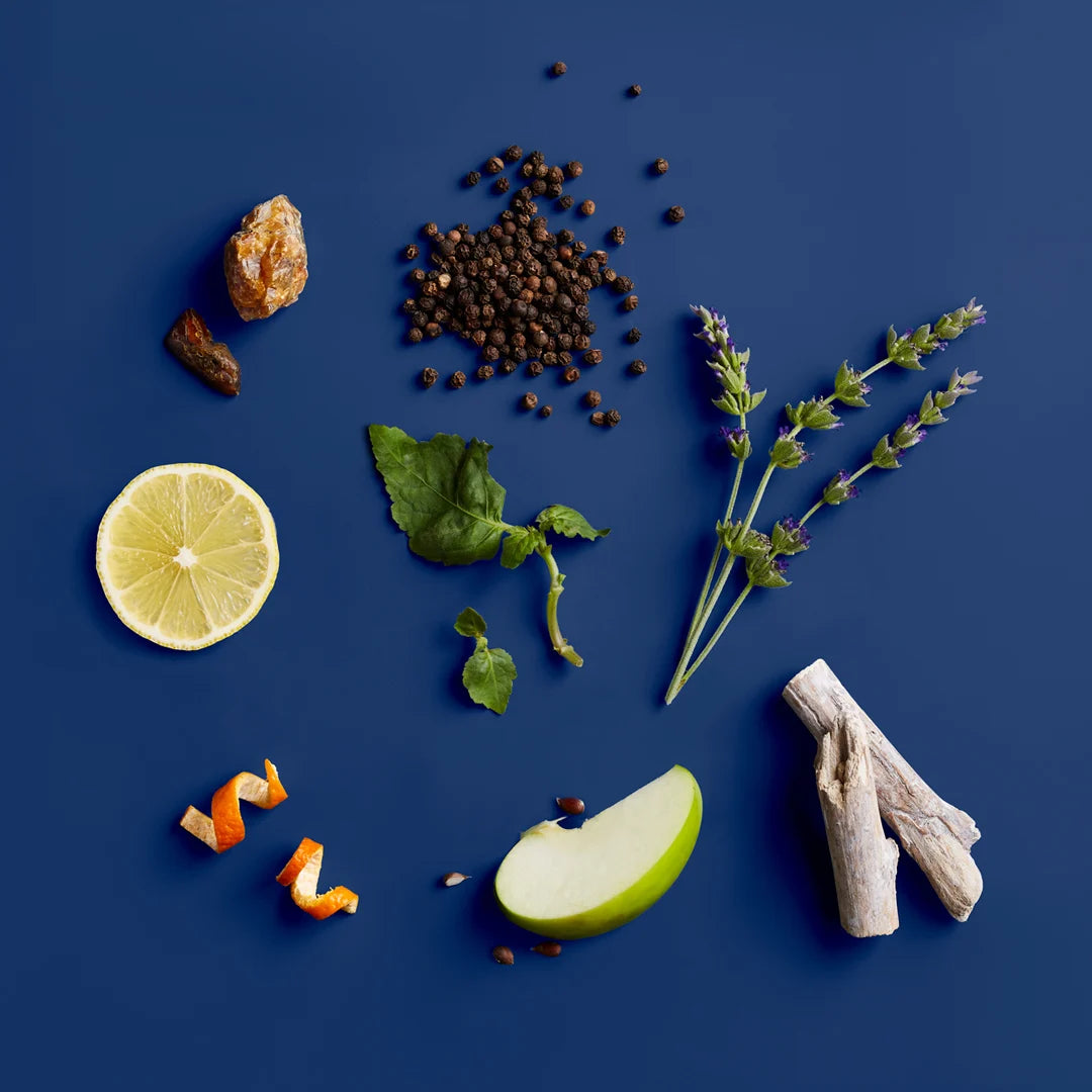 Blue Midnight Body & Hair Cleanser