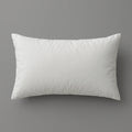 Rectangular Decorative Pillow Insert 21x31