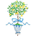 Lemon Tree