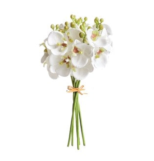 White Phalaenopsis Orchid Stems Bundle 11.5"