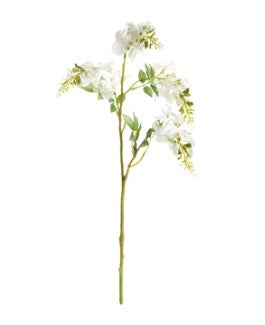 White Wisteria Stem 23.5"