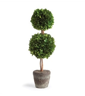 Boxwood Double Sphere Topiary Drop-In 20"