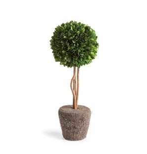 Boxwood Single Sphere Topiary Drop-In 16"