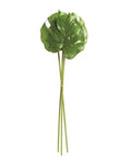Monstera Leaf Stems Bundle of 3 25.5"