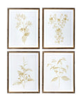 Sepia Botanical Framed Print