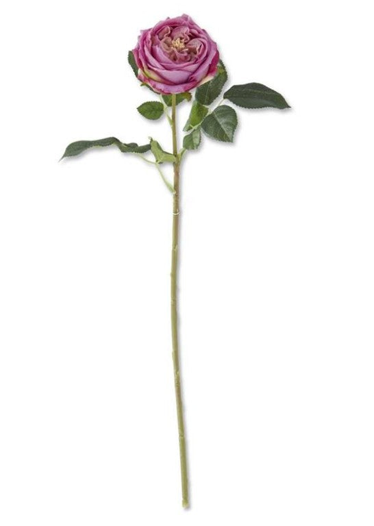 Dark Purple Real Touch Austin Rose Stem