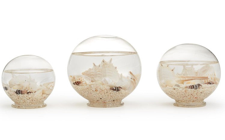 Large Decorative Filled Globe with Assorted Shells and Starfish