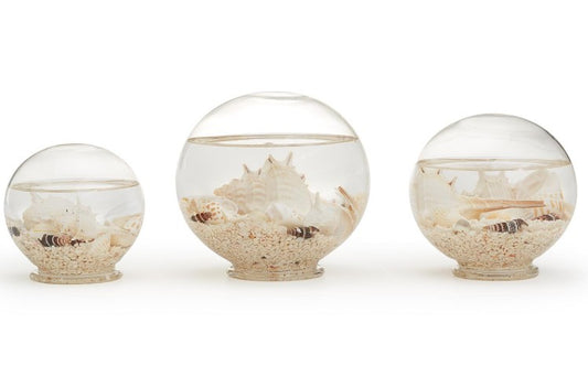 Small Decorative Filled Globe with Assorted Shells and Starfish