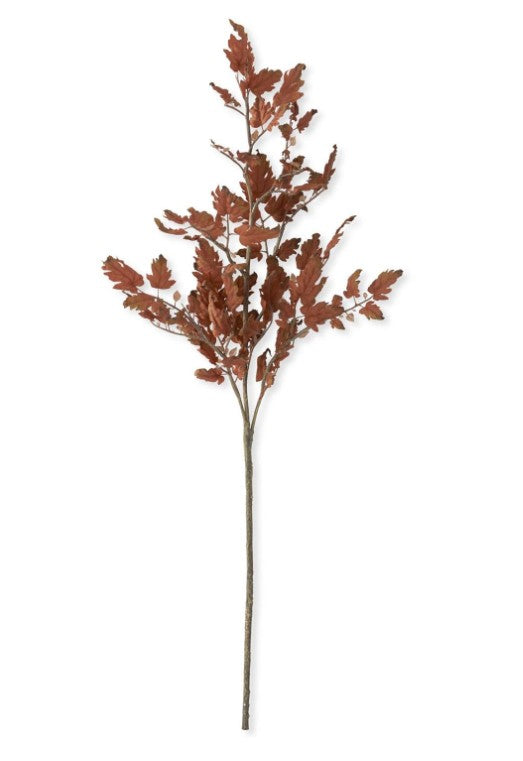 45 Inch Oak Branch