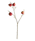 Pomegranate Branches 36" ST/4