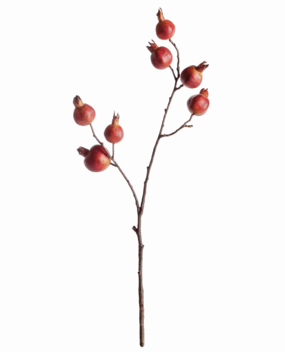 Pomegranate Branch 21.5"