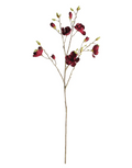 Magnolia Branches 50" ST/2