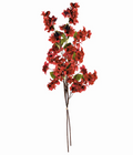 Bougainvillea Stems 54" Bundle of 2