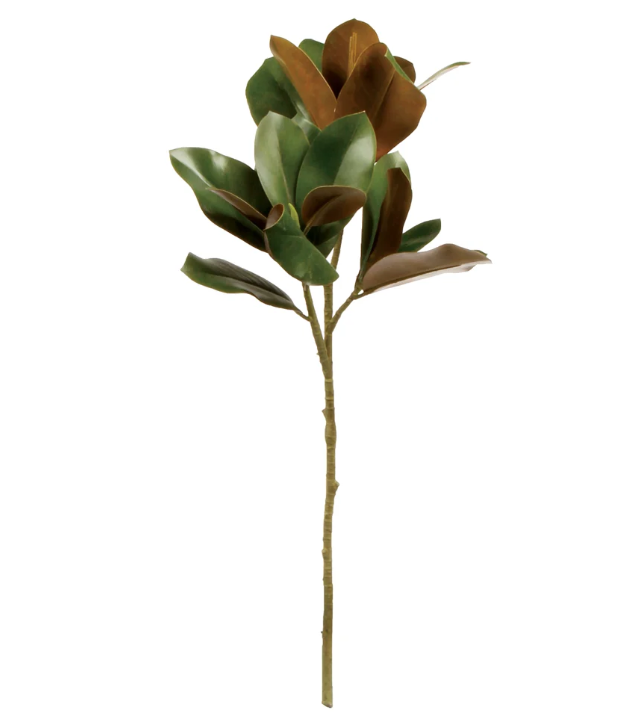 Grand Magnolia Leaf Stem 32"