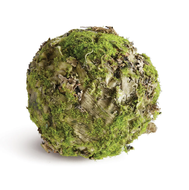 Mossy Lichen Orb 5"