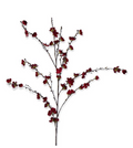 Red Cherry Blossom Stem