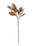 Dark Golden Yellow Magnolia Branch