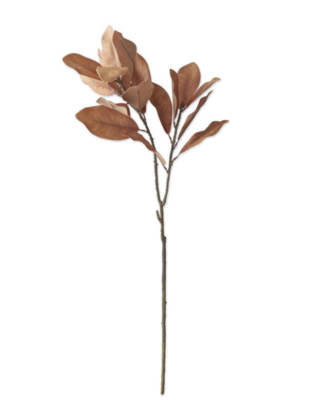 Dark Golden Yellow Magnolia Branch