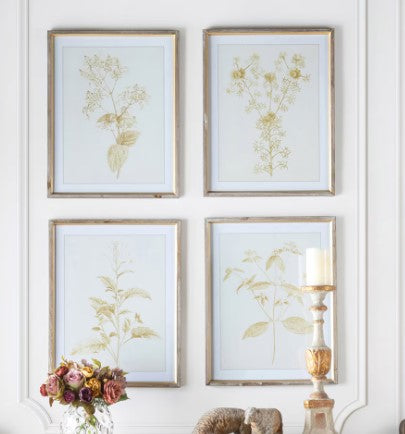 Sepia Botanical Framed Print