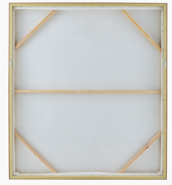 Creation Framed Art 48x42x2