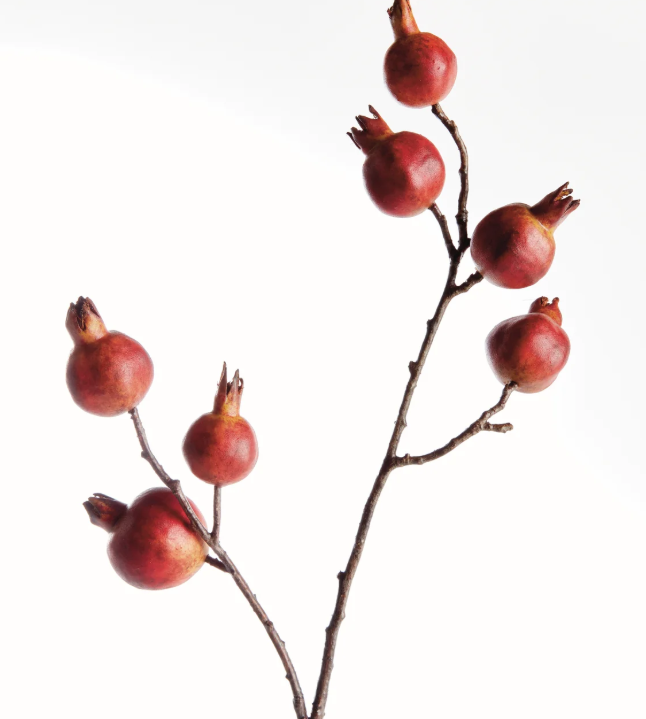 Pomegranate Branch 21.5"