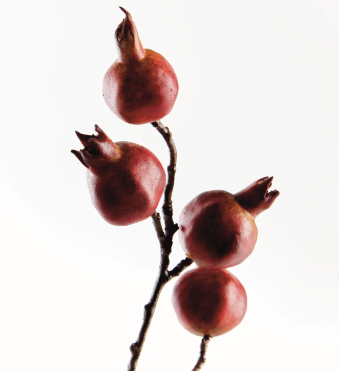 Pomegranate Branch 21.5"