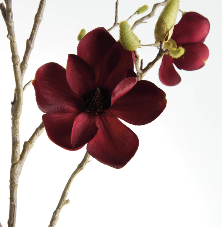 Magnolia Branches 50" ST/2