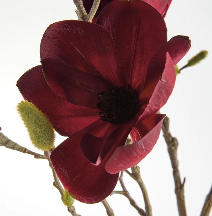 Magnolia Branches 34" ST/4