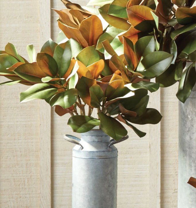 Grand Magnolia Leaf Stem 32"