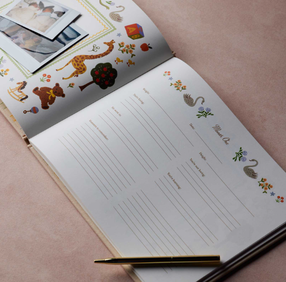 Embroidered Baby Book