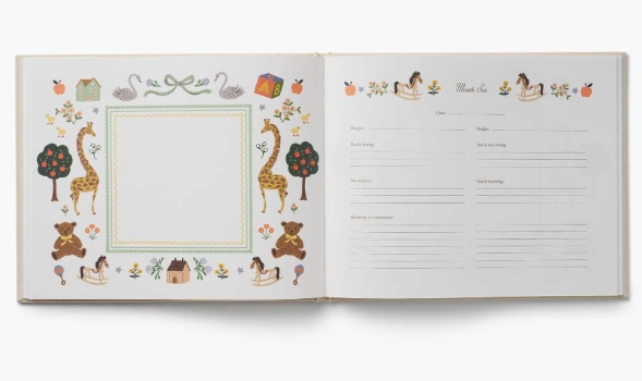 Embroidered Baby Book