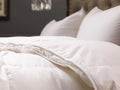 Savannah  Queen Comforter