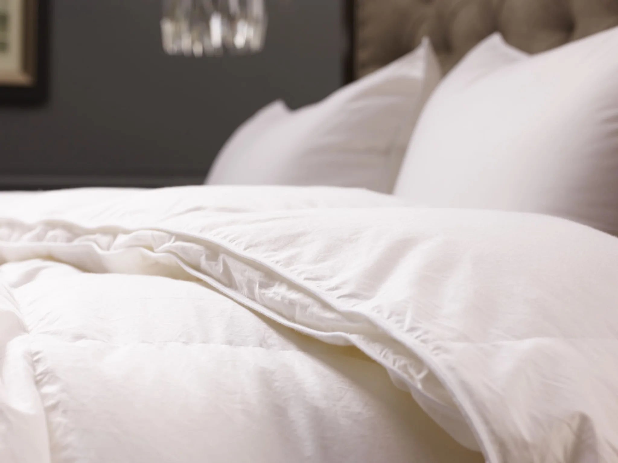 Savannah  Queen Comforter