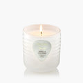 Vanilla Voltage Boxed Candle