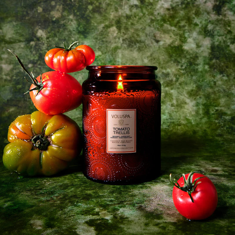 Tomato Trellis Large Jar