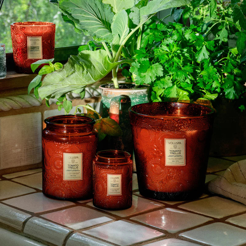 Tomato Trellis Classic Candle